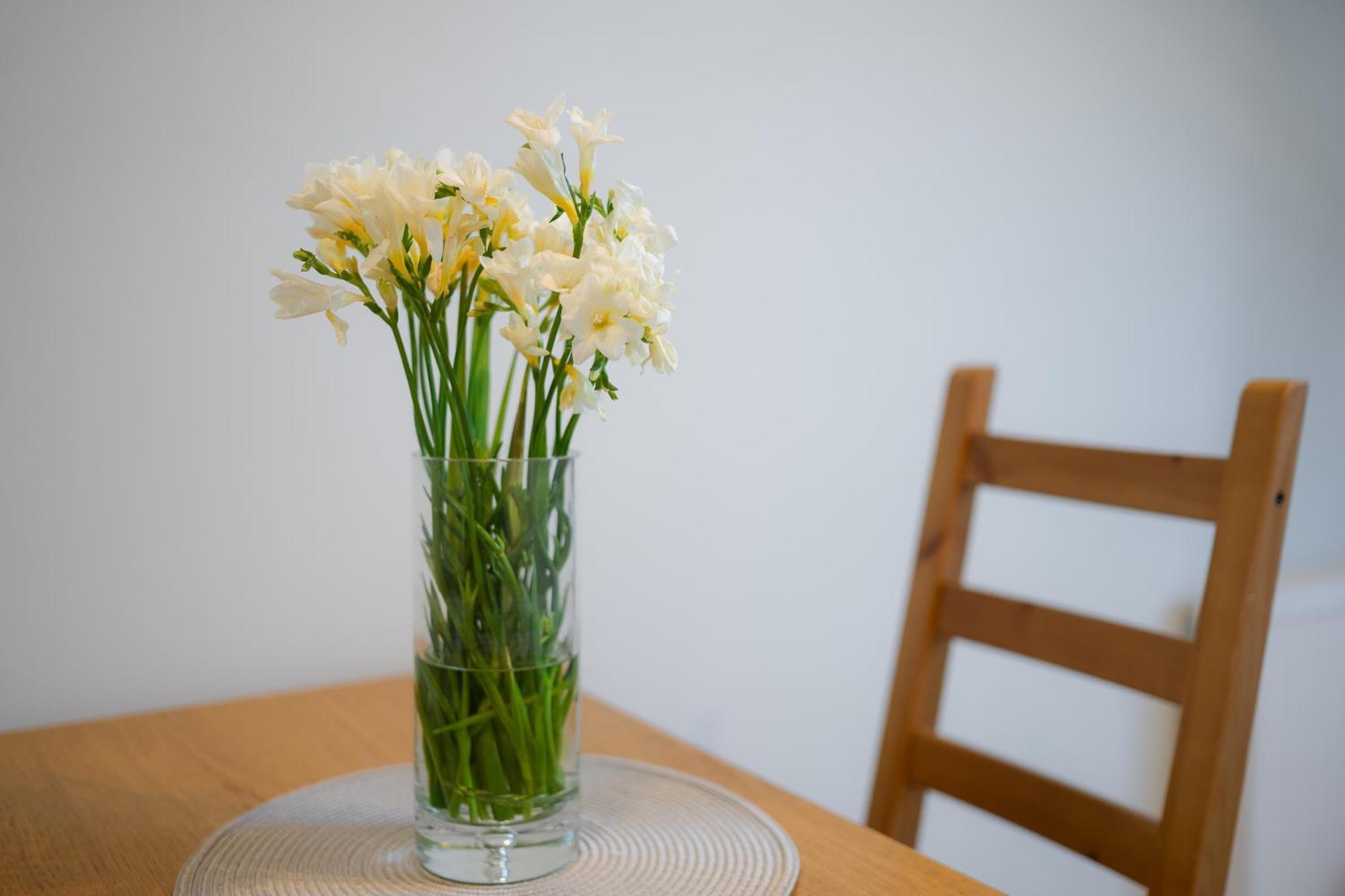 Athome Torun Apartamenty Luaran gambar
